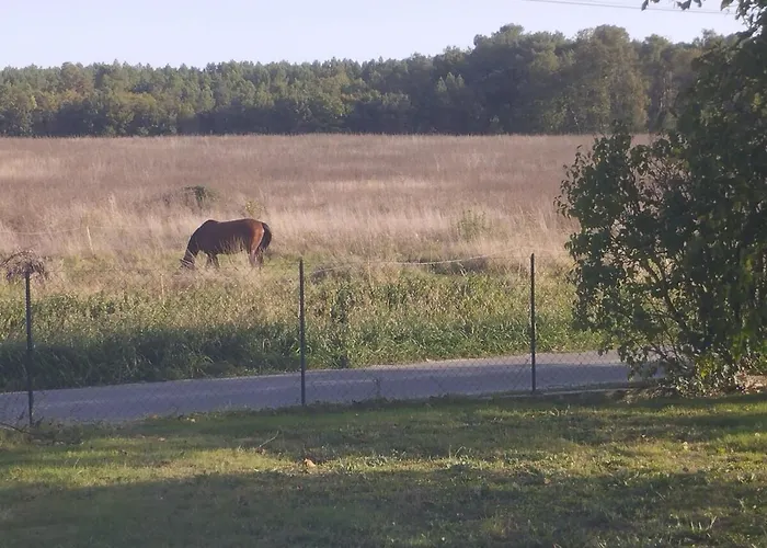 La Fermette De Chandigon بيت للعطل Antran